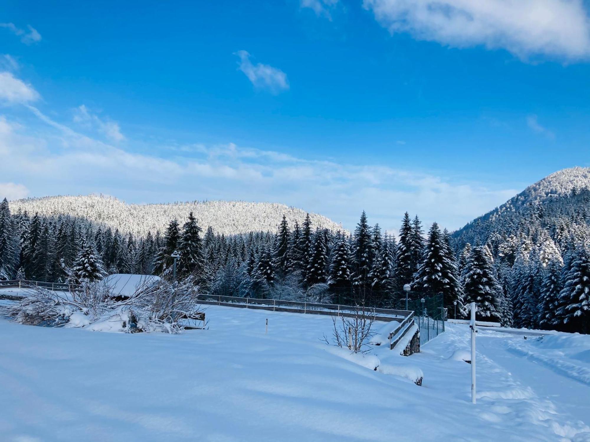Le Perchoir Du Grand Valtin - Gite 5 Personnes - Altitude 830 Ban-sur-Meurthe-Clefcy Extérieur photo