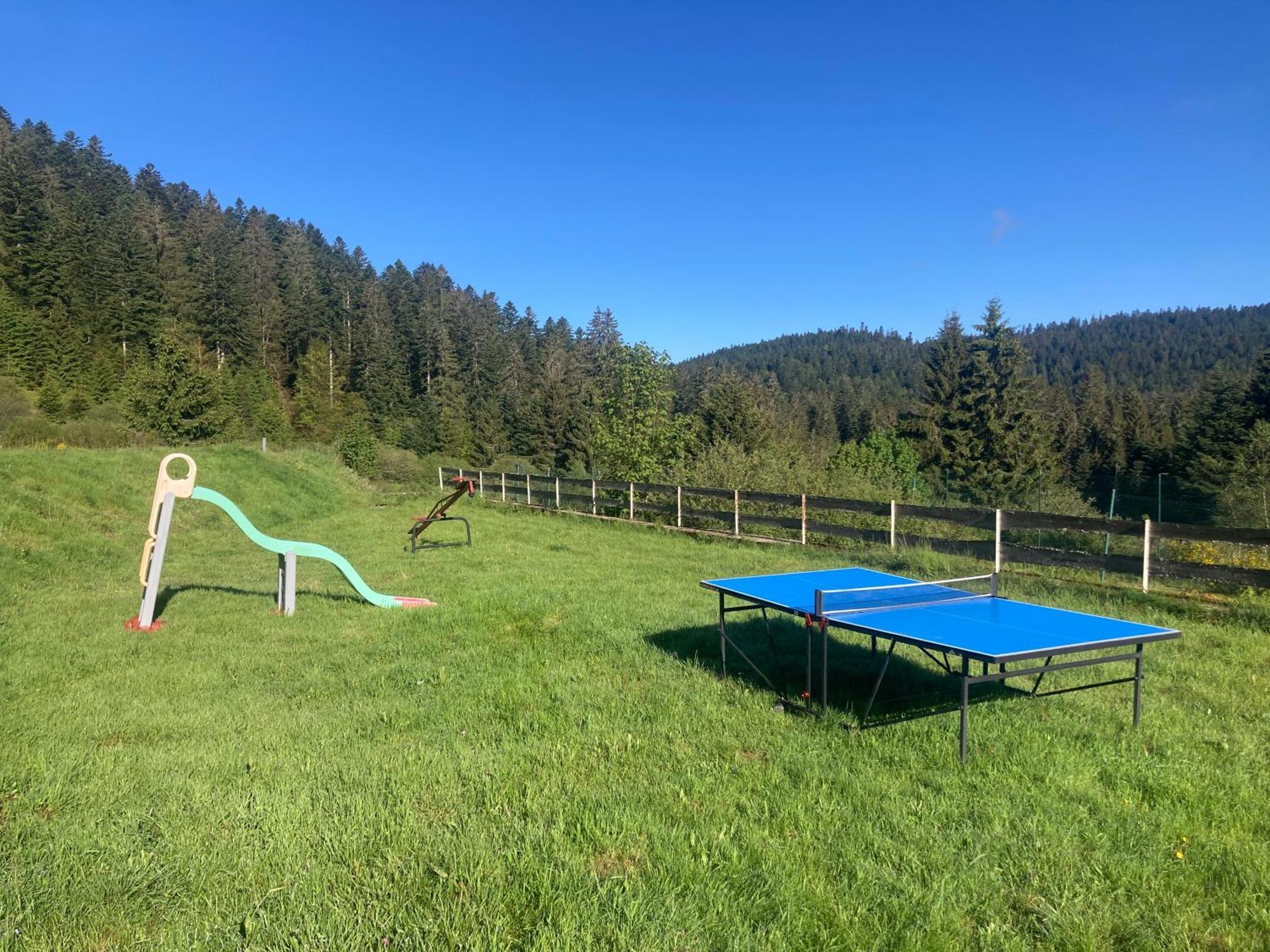 Le Perchoir Du Grand Valtin - Gite 5 Personnes - Altitude 830 Ban-sur-Meurthe-Clefcy Extérieur photo