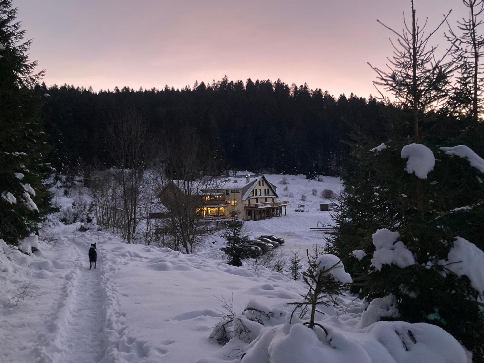 Le Perchoir Du Grand Valtin - Gite 5 Personnes - Altitude 830 Ban-sur-Meurthe-Clefcy Extérieur photo